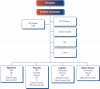 Institution Incident Command System Structure flowchart.