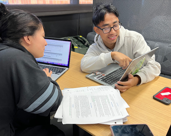 Two students studying together.